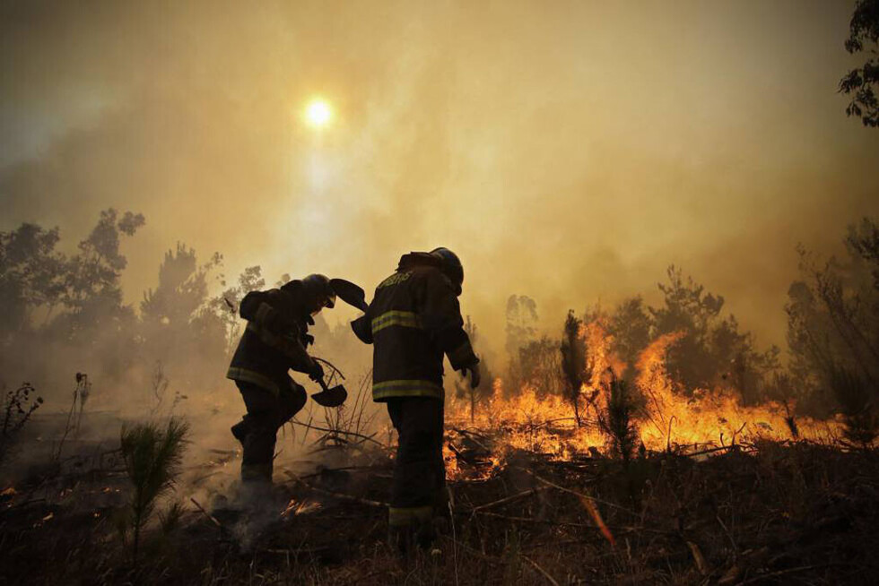 Chile: 300% más de hectáreas quemadas este año