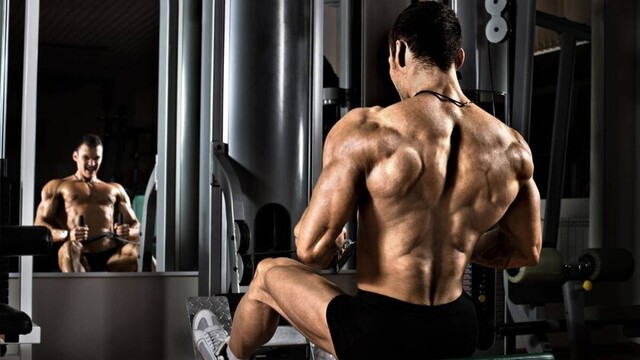Un nuevo  año en el   gimnasio