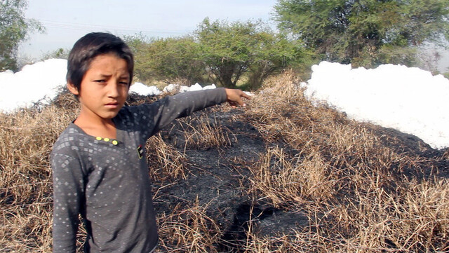 10 años encubriendo el envenenamiento de niños: cómo ocultó México la contaminación de un río por transnacionales
