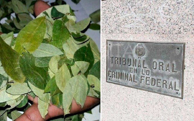 En Argentina, fallo judicial determina que transportar coca no infringe la ley antidroga