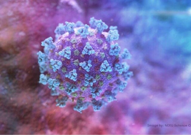 Regulador de EEUU informa primera escasez de medicamentos relacionada con el coronavirus