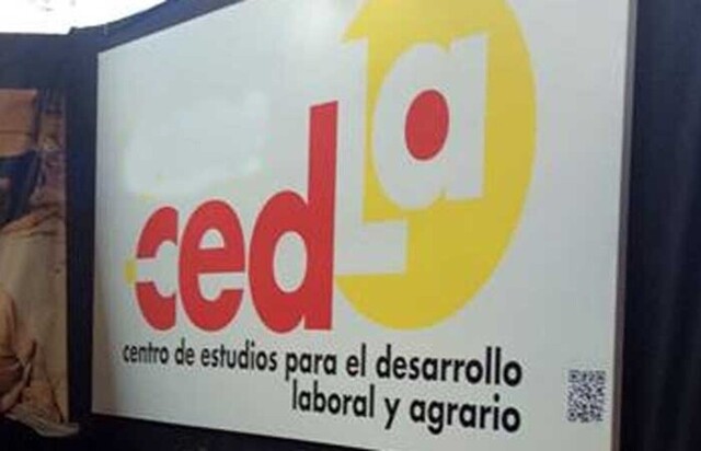 CEDLA alerta que habrá secuelas económicas “abrumadoras” y sugiere acciones al respecto