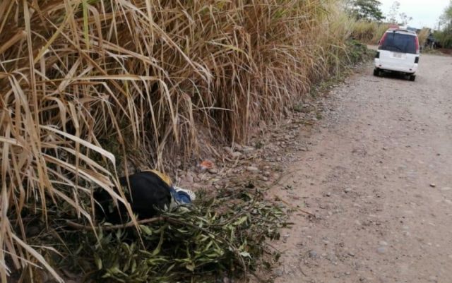 Levantan  cadáver no identificado en  Bermejo 
