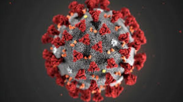 Coronavirus: descubren la clave para “desnutrir” al Covid y evitar que se reproduzca en los pulmones