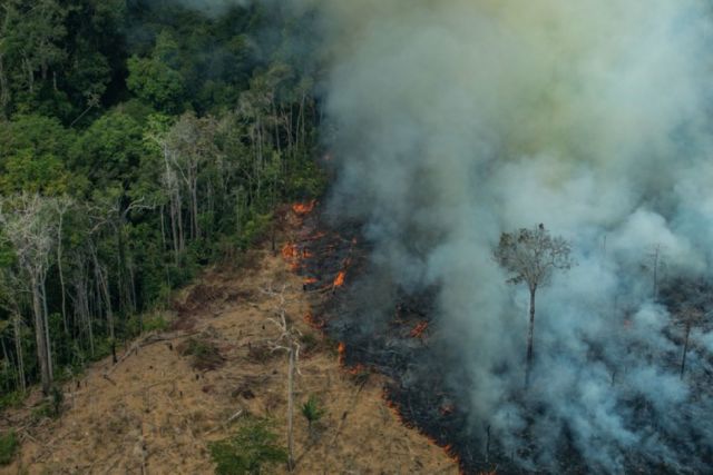 Conclusiones de la primera Asamblea Mundial de la Amazonia: "El ecocidio, etnocidio y terricidio avanzan peor que el virus"