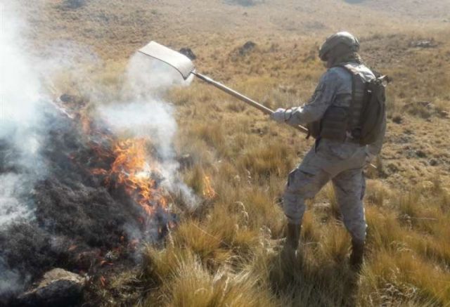 Incendio arrasó con más de 2.000 hectáreas de bosque y pajonales en Sacaba