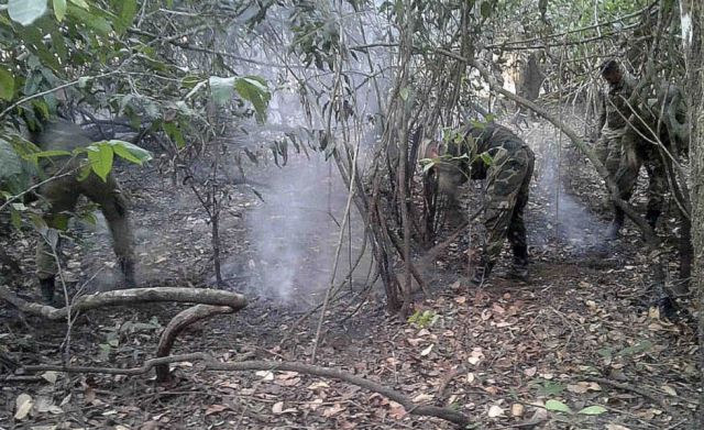 Focos de calor aumentan de 70 a 300 en el Beni