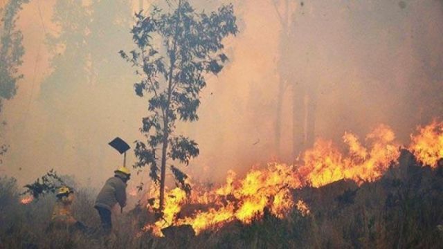 Incendio en Sacaba consumió alrededor de 10 hectáreas de bosque 