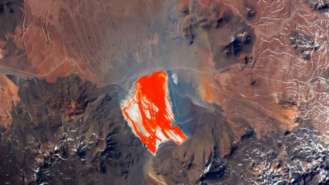 Publican una peculiar foto de la Laguna Colorada 