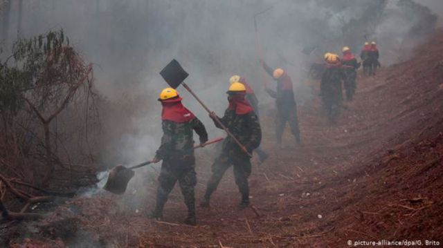 Gobierno analiza derogar decreto sobre chaqueos