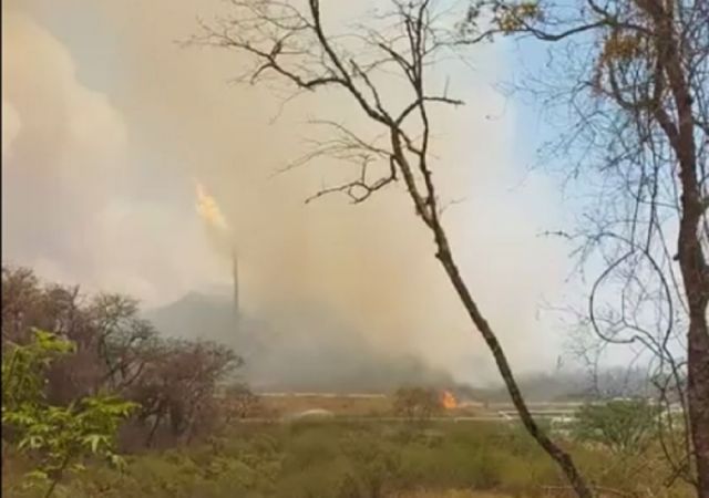 Controlan incendio forestal cercano a la planta Incahuasi