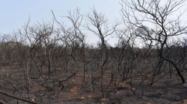 Tarija entre los cuatro departamentos con alerta naranja