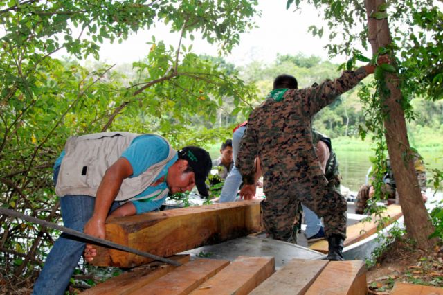 Bolivia busca aplicar leyes  sobre comercio forestal