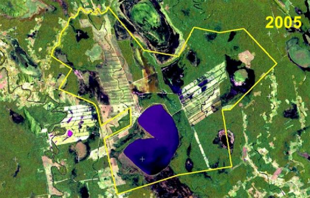Plataforma ambientalista denuncia que Marinkovic utiliza a familiares para consolidar tierras agrícolas