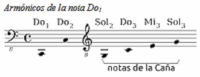 Pitágoras, matemáticas y la caña tarijeña