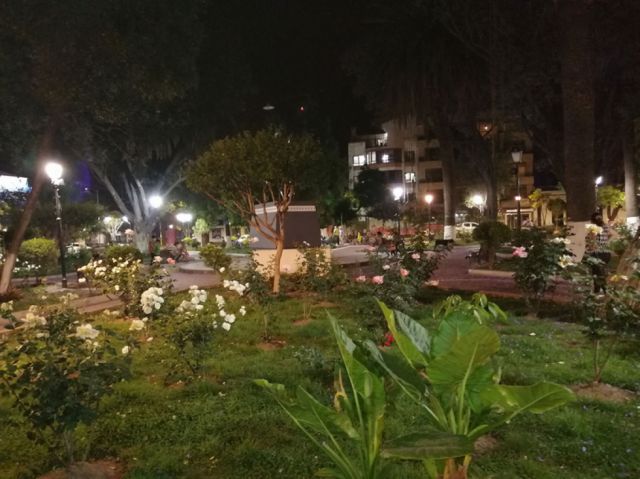 Poemas de Navidad
