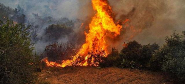 Siria destina $us 5 MM a afectados por incendios