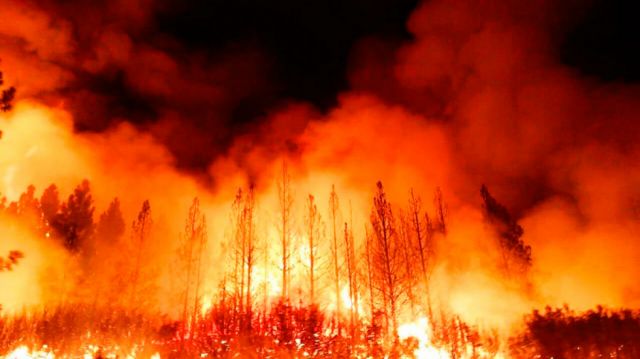 Incendio en Chile: ordenan evacuar a miles de personas