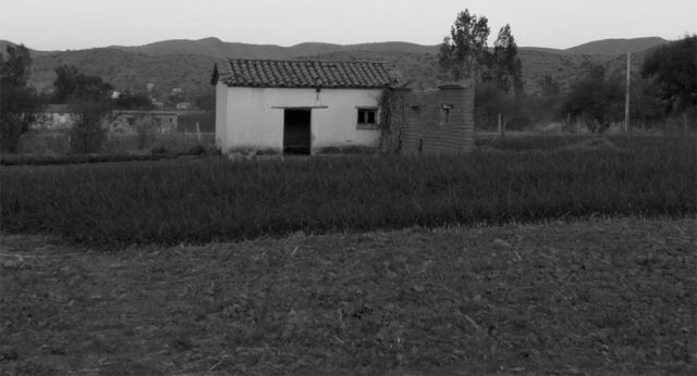 Guttentag, nuestro librero