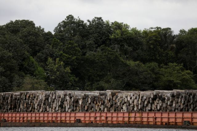 Bolsonaro obstaculiza multas ambientales clave para proteger a Amazonía