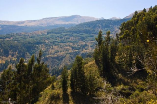 Desplegarán operativo de protección al Parque Tunari
