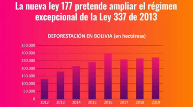 El Cedib alerta que se prepara un nuevo "perdonazo" para las actividades de desmonte ilegal