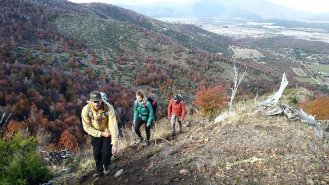 Resurgir de las cenizas: la ardua (y silenciosa) tarea de reforestar los bosques quemados del sur argentino