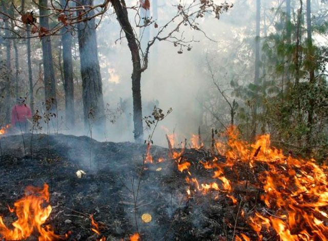 Focos de calor se reducen de 5.000 a 1.089
