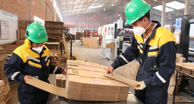 Sedem: Cartonbol elaborará muebles