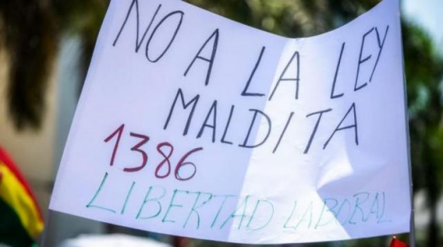 Leyes 348 y 1386, el rechazo que llevó al paro indefinido