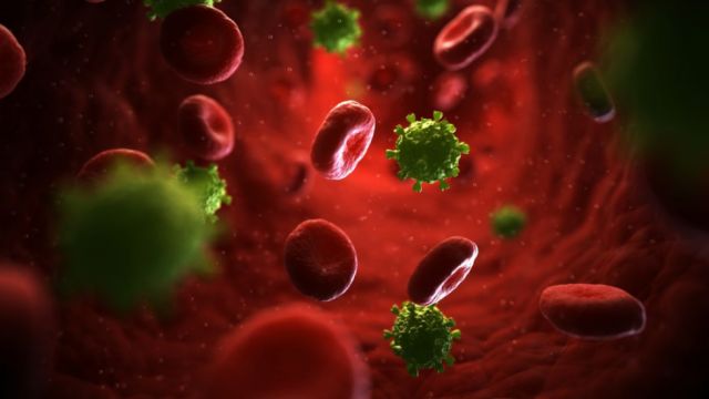 Investigadores dan un paso más hacia la comprensión del fenómeno de inmunidad al VIH