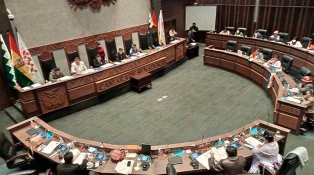 Senado analiza realizar sesiones virtuales