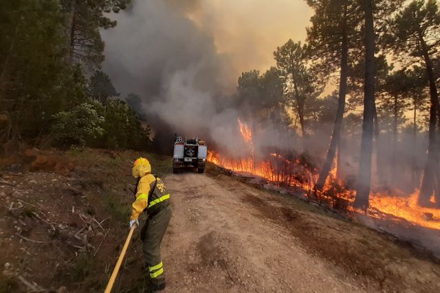 Los incendios serán mayores  y más frecuentes este siglo