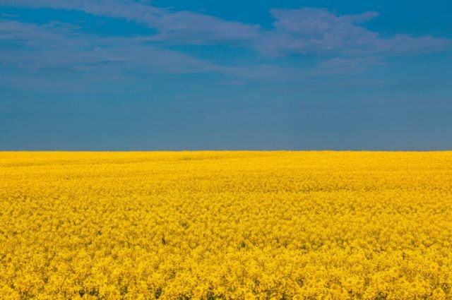 La guerra de Ucrania, la seguridad  alimentaria y las cuentas de Bolivia
