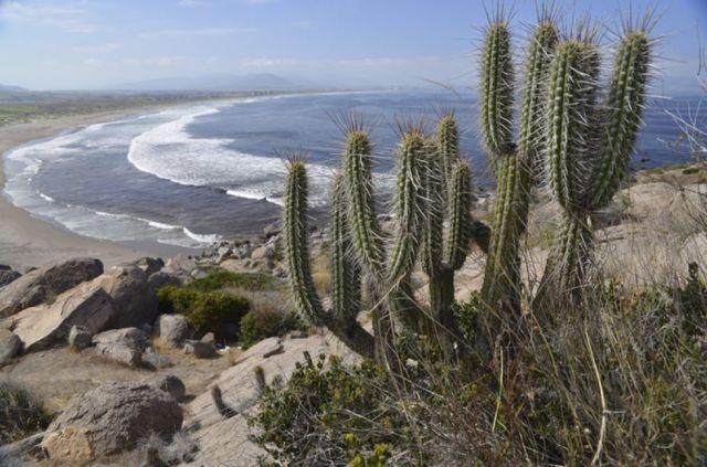 IPCC: Impactos concretos del  cambio climático en Sudamérica 