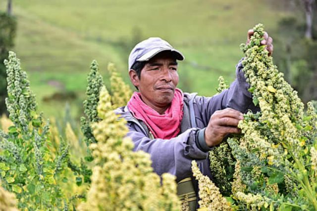 BDP lanza nuevo crédito para financiar actividades que complementan al sector productivo