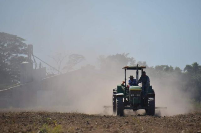 Emapa inicia siembra de 4.000 ha de maíz en Guarayos