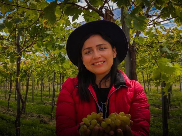 “Tarijeñito” y la tradición de hacer vino en familia