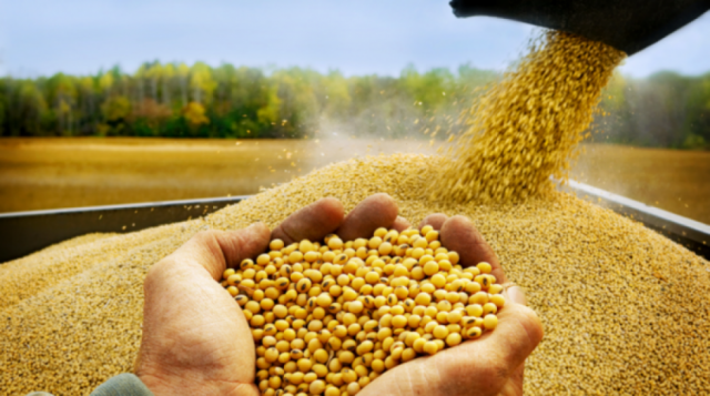 A marzo, las exportaciones crecieron 31%