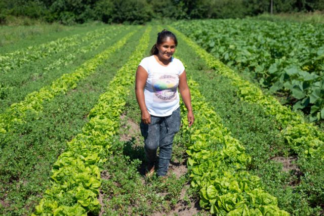 Agricultura de América del Sur se  adapta frente al cambio climático