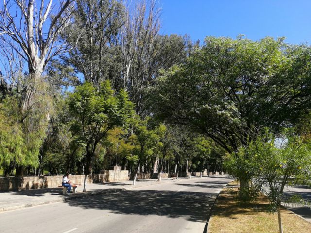 Ecos de mi tierra