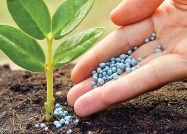 YPFB alista la construcción de la planta de NPK