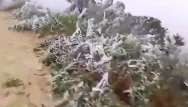 Bajas temperaturas afectan cultivos en 5 departamentos