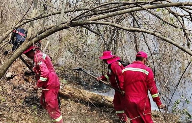 Incendio consumió más de 25 hectáreas en Calama
