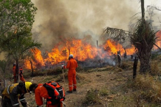 Defensa Civil informa que existen 2.042 focos de calor