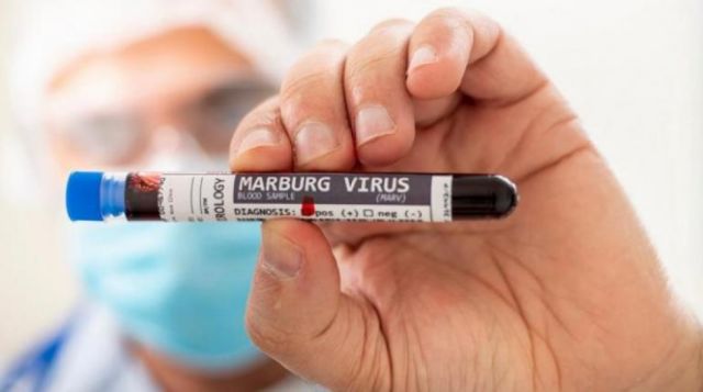 Muere un niño en Ghana infectado con el virus de Marburgo, similar al ébola