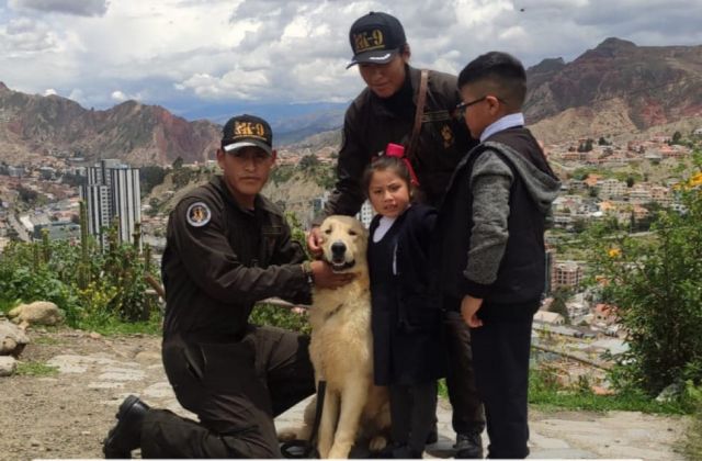 Canes de la Policía se jubilan y buscan hogares que los adopten