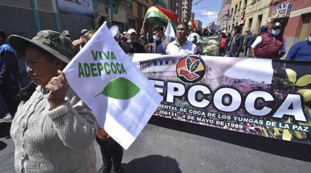 Adepcoca retoma las marchas contra el mercado paralelo de coca