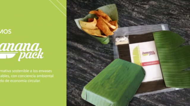 Emprendedores bolivianos quieren sustituir el plástico por hojas de plátano