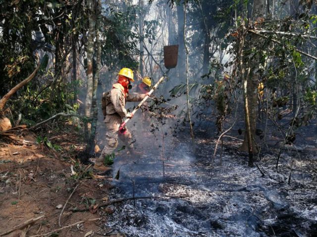 Reportan cuatro incendios  forestales en Santa Cruz y Beni